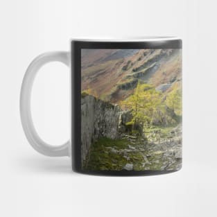 Castle Crag Quarry Mug